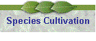 Species Cultivation